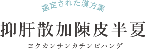 肌あれさんの漢方薬 荊芥連翹湯 ケイガイレンギョウトウ