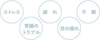 疲れやすい 胃腸のトラブル 不眠 ストレス 目の疲れ